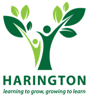 Harington Scheme Limited