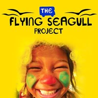 The Flying Seagull Project