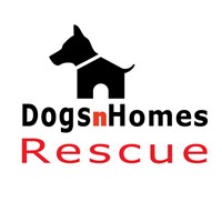 DogsnHomes Rescue