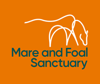 Mare and Foal Sanctuary