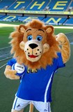 Zampa at The Den