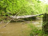 the storm damaged suspension bridge