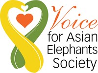 Voice for Asian Elephants Society