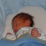 Alfie Baucutt