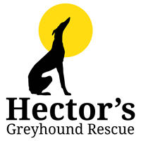 Hector's Greyhound Rescue