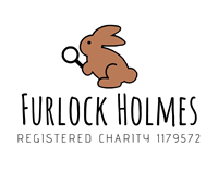 Furlock Holmes