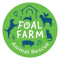 Foal Farm