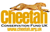 Cheetah Conservation Fund UK