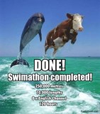 Completed at last!