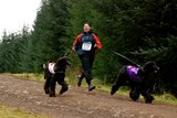 Tails and Merlin done the 7k.-CANI-SPORT