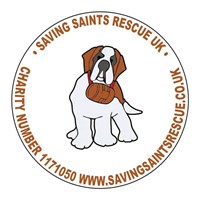 Saving Saints and St Bernard and Big Paws Rescue UK