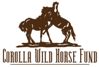 Corolla Wild Horse Fund Inc