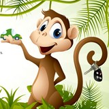 Monkey.co.uk