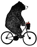 Stu's epic journey home