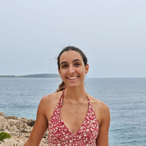 Leila's fundraising page