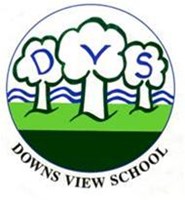 Friends of Downs View School