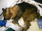 Prince, as he was found