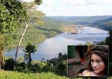 Misiones Rainforest Corridor