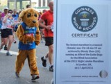 World Record Holding Pooch