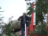 Dad