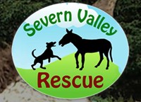 Severn Valley Donkey Rescue