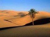 4Deserts: Sahara Race 2008