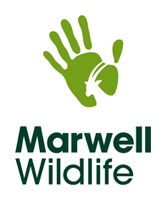 Marwell Wildlife
