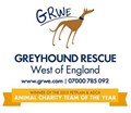 Greyhound Rescue West Of England