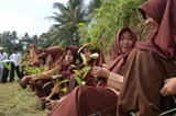 Students planting trees in Indonesia