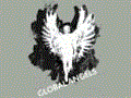 Global Angels