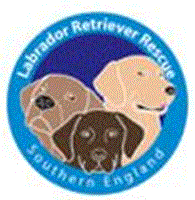 Labrador Retriever Rescue Southern England