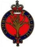 Welsh Guards Appeal