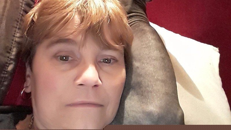 cover photo