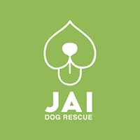 Jai Dog Rescue