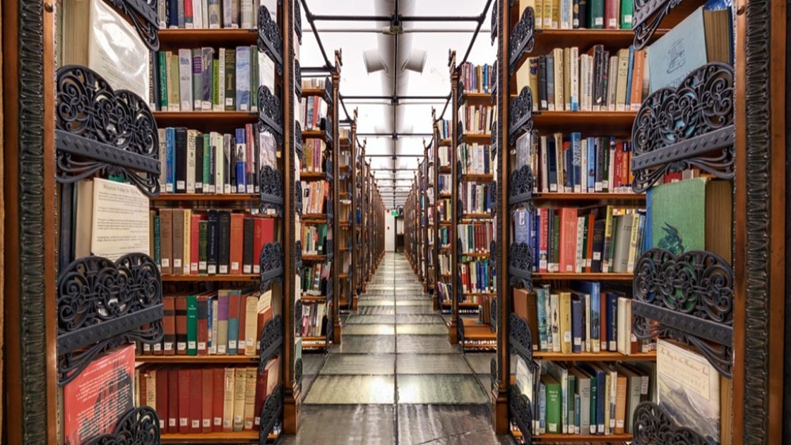 Library Giving Day 2024 JustGiving