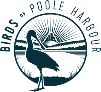 Birds of Poole Harbour - Environmental Education Charity