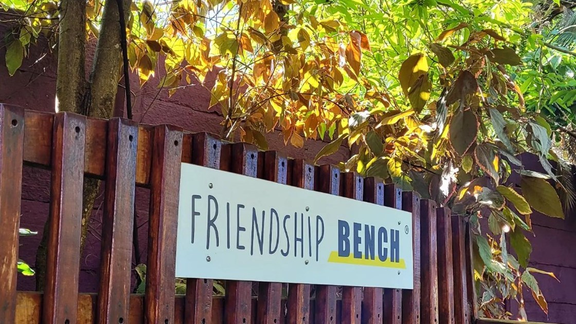 Capacitating Friendship Bench grandmothers to deliver free Problem ...
