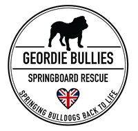 Geordie Bullies Springboard Rescue