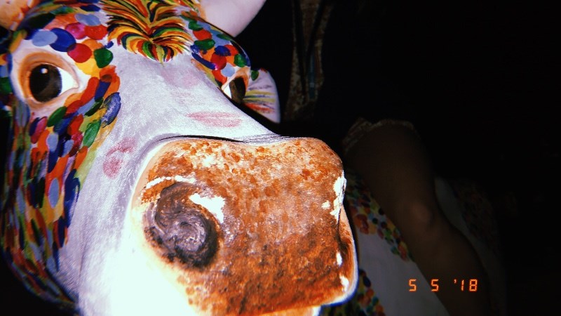 cover photo