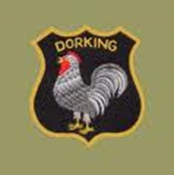Team logo