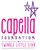 Fundraiser icon