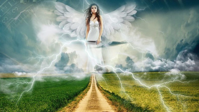 cover photo