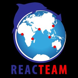 Team logo