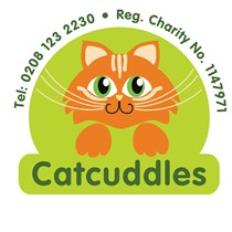 CatCuddles Sanctuary