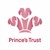 Fundraiser icon