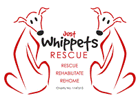 Just Whippets Rescue