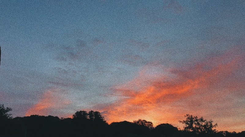 cover photo