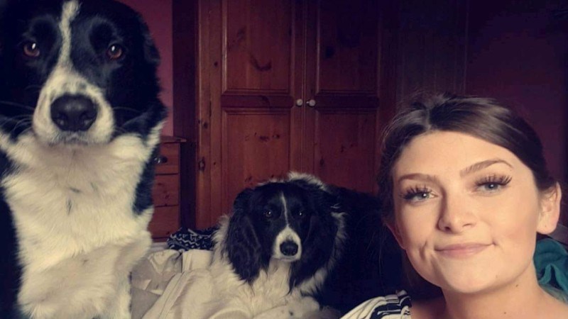 cover photo