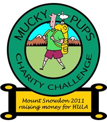 Team logo