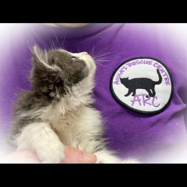 Anna's Rescue Centre
